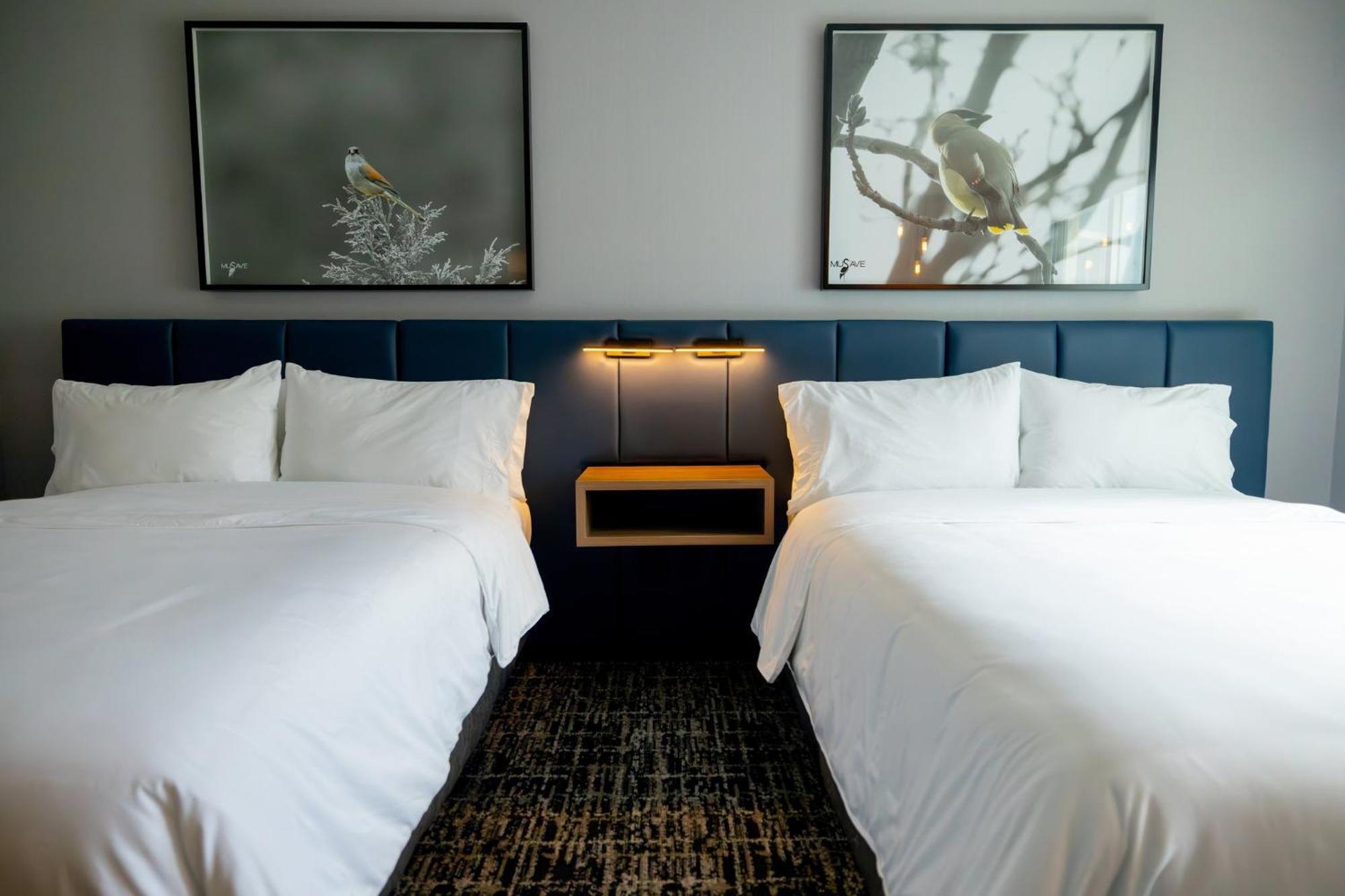 Voco Saltillo Suites By Ihg Exterior photo