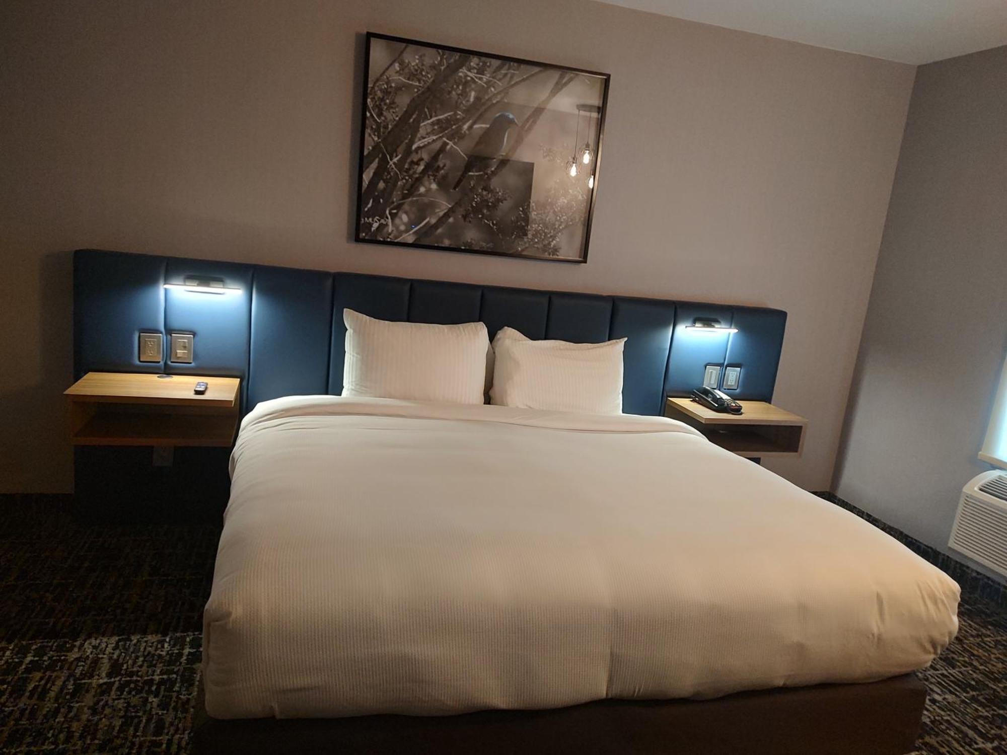 Voco Saltillo Suites By Ihg Exterior photo