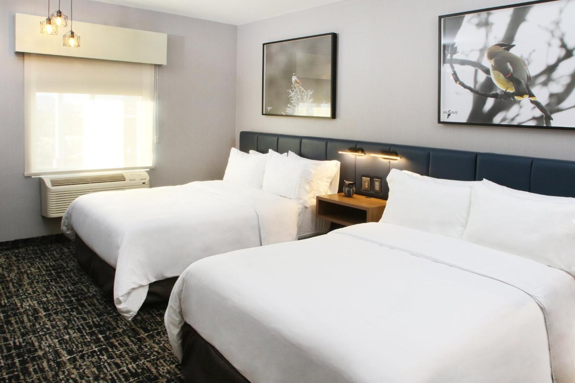 Voco Saltillo Suites By Ihg Exterior photo