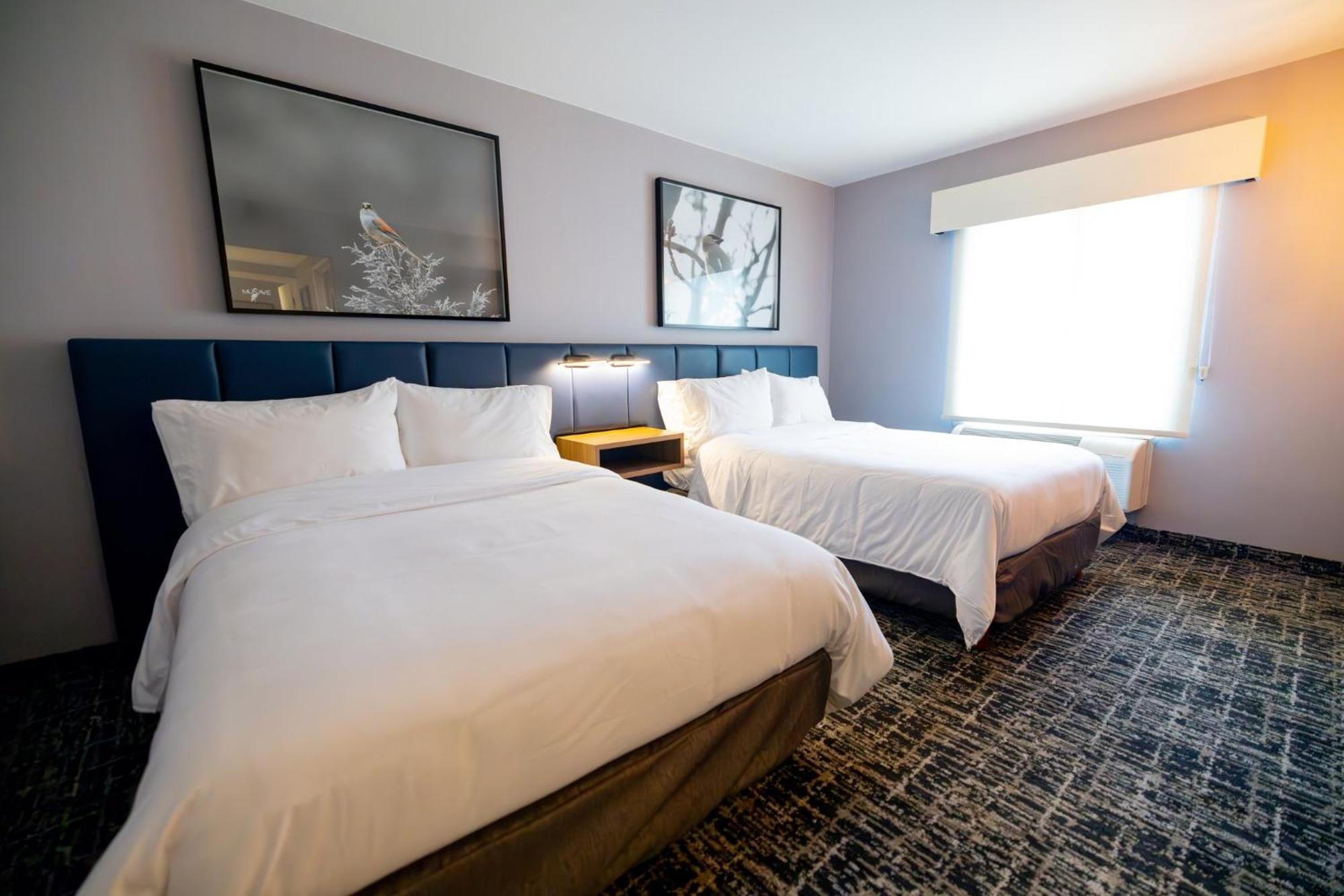 Voco Saltillo Suites By Ihg Exterior photo
